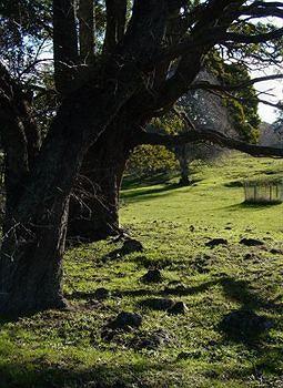 Blackwood Park Cottages Chudleigh Exterior foto